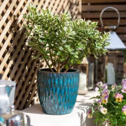 Chiswick Textured Pot Green - 24cm -Garden Decoration Shop 13973630 1585011238234973