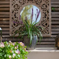 Chiswick Textured Pot Black - 24cm -Garden Decoration Shop 13973635 4425011239236868