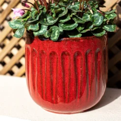 Chiswick Running Pot Red - 38cm -Garden Decoration Shop 13973648 1055011238867526