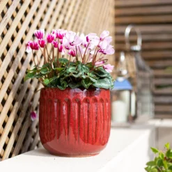 Chiswick Running Pot Red - 38cm -Garden Decoration Shop 13973648 9875011238791869