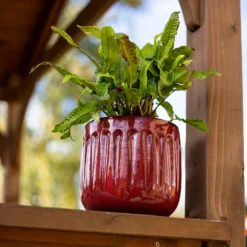 Chiswick Running Pot Red - 30cm -Garden Decoration Shop 13973649 7005011242786438