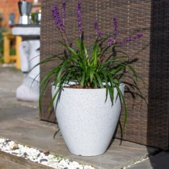 Pinto Egg Pot Beige - 37cm -Garden Decoration Shop 13973673 2105011238792967