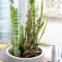 Floral Bronze Ground Stakes - 45cm (Assorted Designs) -Garden Decoration Shop 13981009 1695005324721013