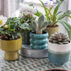 Two Tone Ombre Indoor Plant Pot - 12cm -Garden Decoration Shop 14197407 1295024191549506