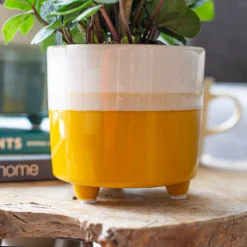 Two Tone Ombre Indoor Plant Pot - 12cm -Garden Decoration Shop 14197407 3655024191436277