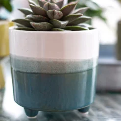 Two Tone Ombre Indoor Plant Pot - 12cm -Garden Decoration Shop 14197407 8595024191498422