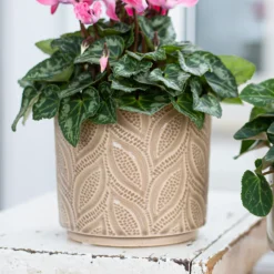 Crackle Leaf Indoor Plant Pot - 12cm 17 Crackle Leaf Indoor Plant Pot - 12cm -Garden Decoration Shop 14197410 2105024191396266