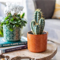 Art Deco Indoor Plant Pot - 12cm -Garden Decoration Shop 14197411 1565024190838689