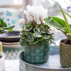 Art Deco Indoor Plant Pot - 12cm -Garden Decoration Shop 14197411 2035024190791106